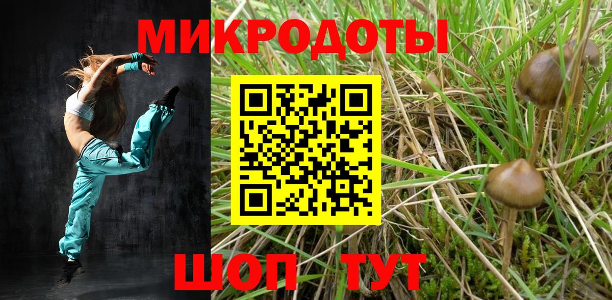 Дивногорск  купить  цена  Вход с VPN  Псилоцибиновые грибы мицелий 