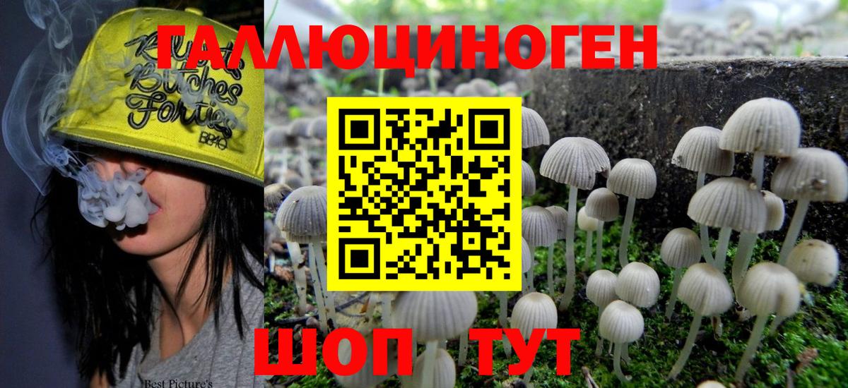 Галлюциногенные грибы Magic Shrooms Дивногорск